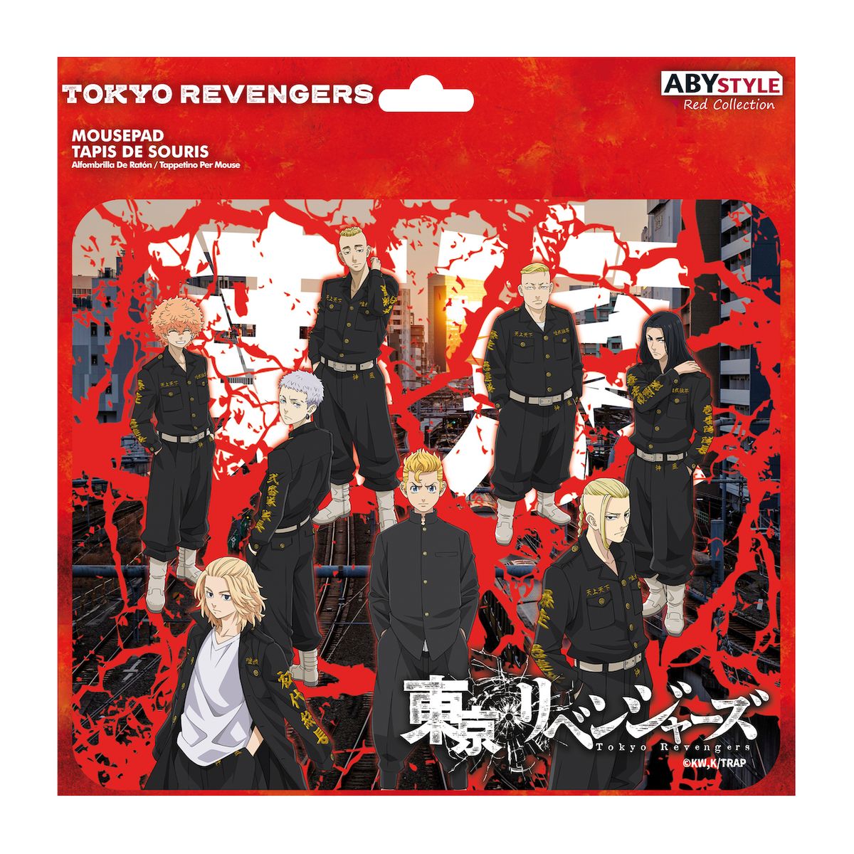 Tokyo Revengers - Takemichi & Toman - Hiirimatto