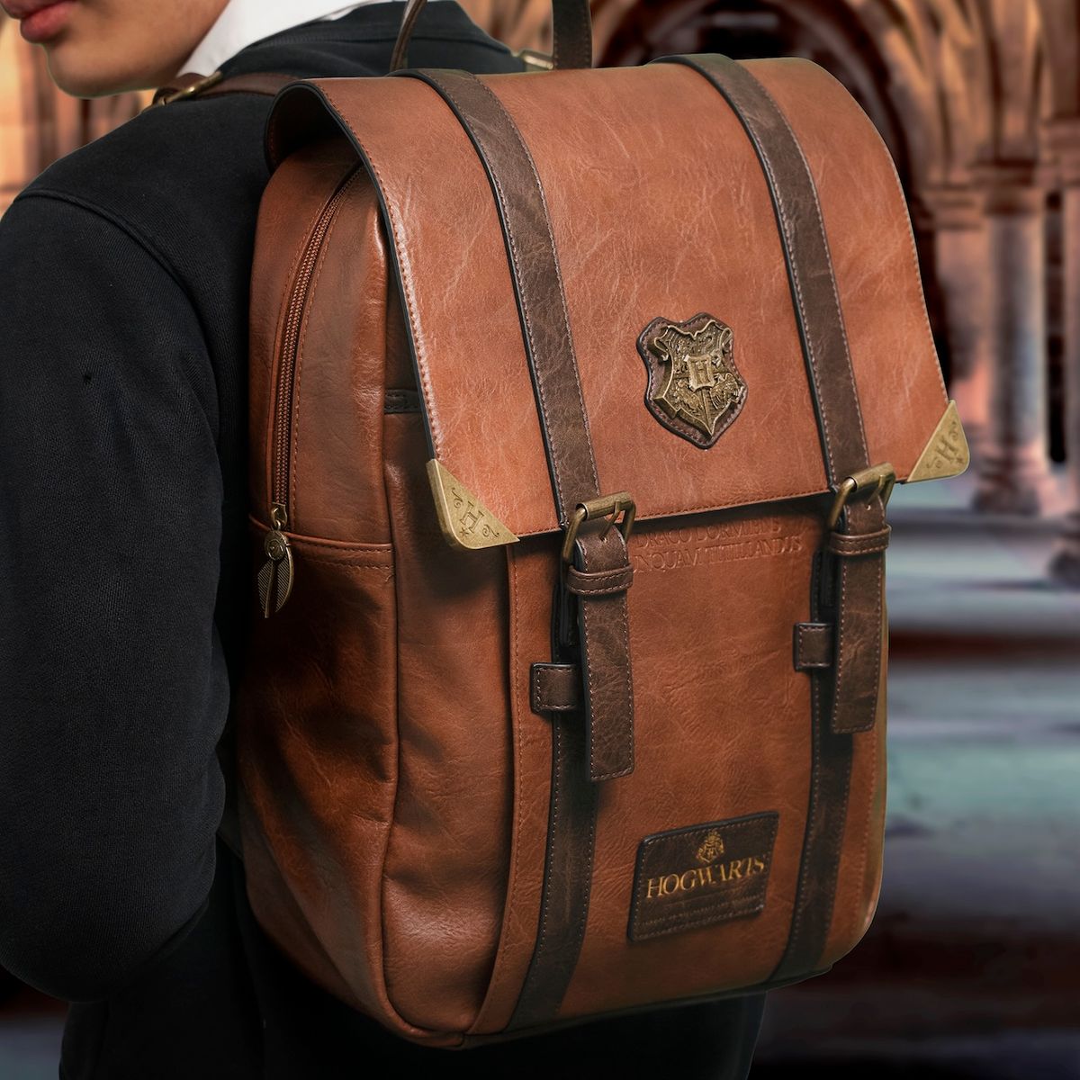 Harry Potter - Hogwarts - Reppu