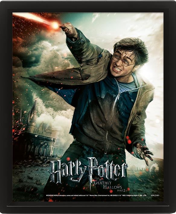 Harry Potter - Expelliarmus - 3D-kuva