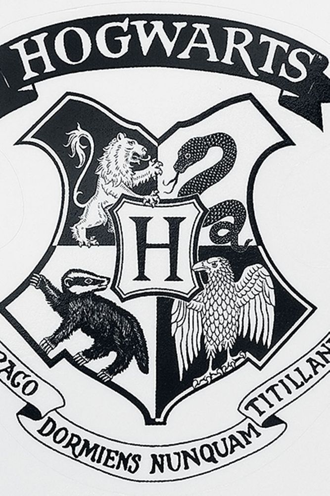Harry Potter - Magical Objects - Tarra / tarrasetti